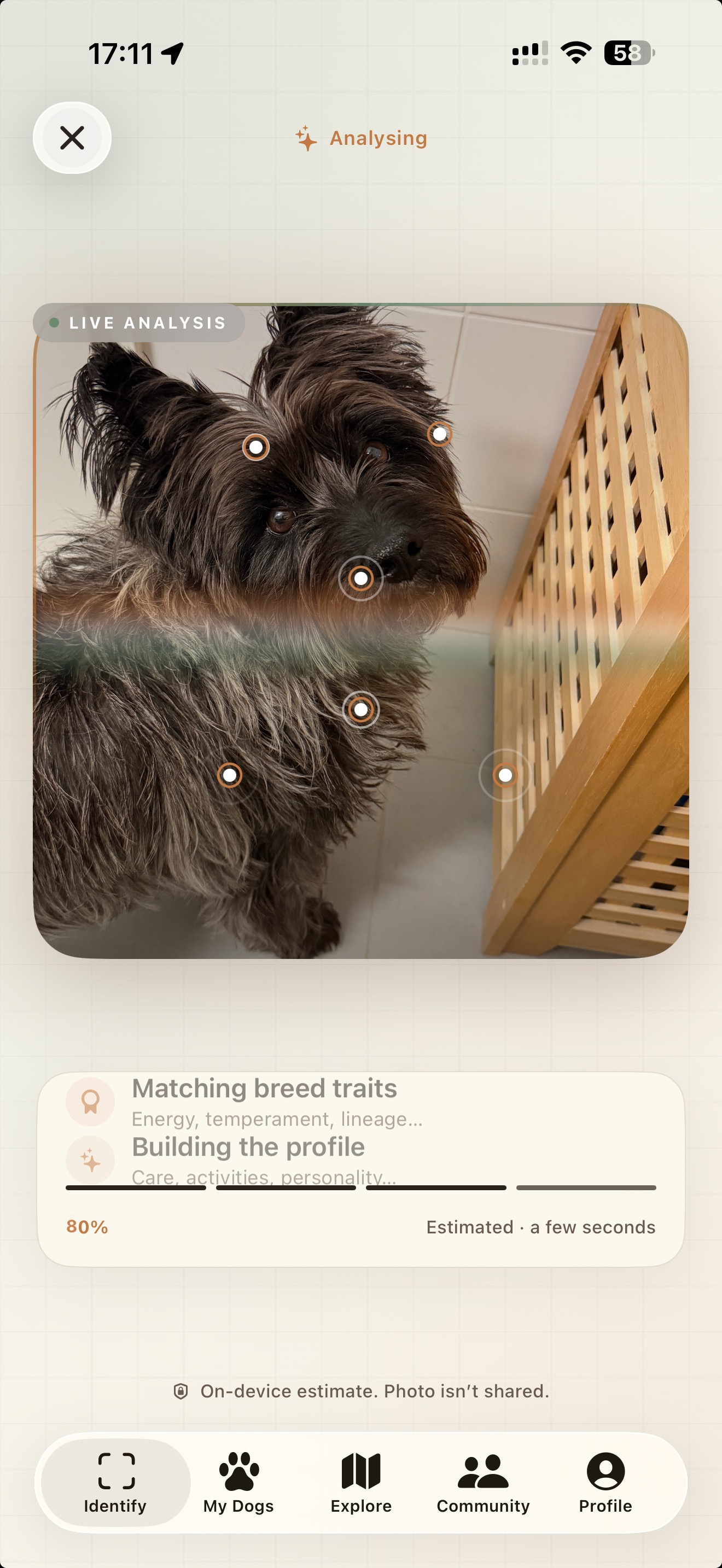 PawScope AI-powered scanning